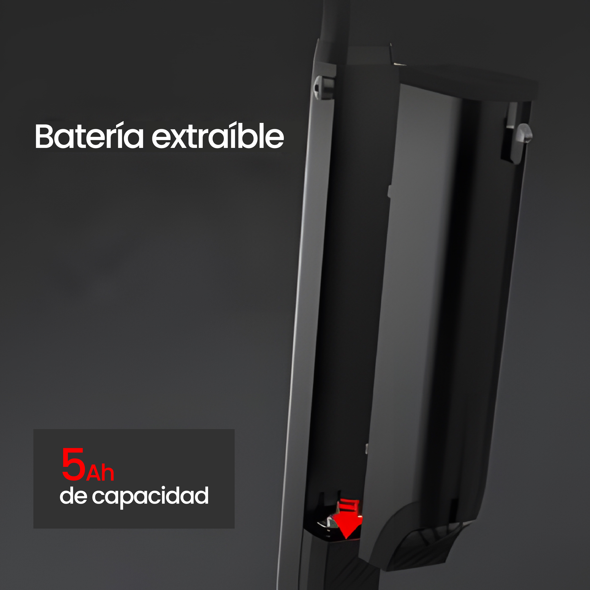 Sistema de Batería Extraíble